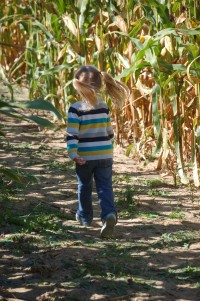 Ponytails in the maze