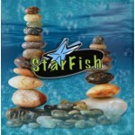 StarFish - Rocks